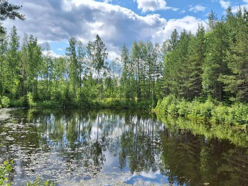 a river with trees and reflections in the water at Sauna lampi in Lylykylä