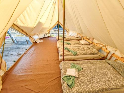 a group of three beds in a tent at Camping by the beach Vama Veche in Vama Veche