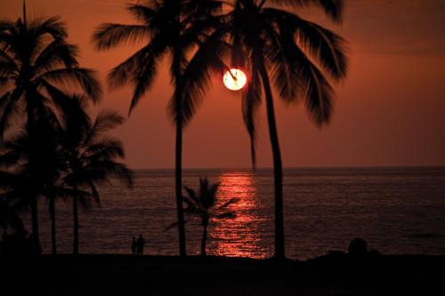 a sunset on the beach with palm trees at Wyndham Kona Coast Resort 2BR Apartment with Resort Access in Kailua-Kona