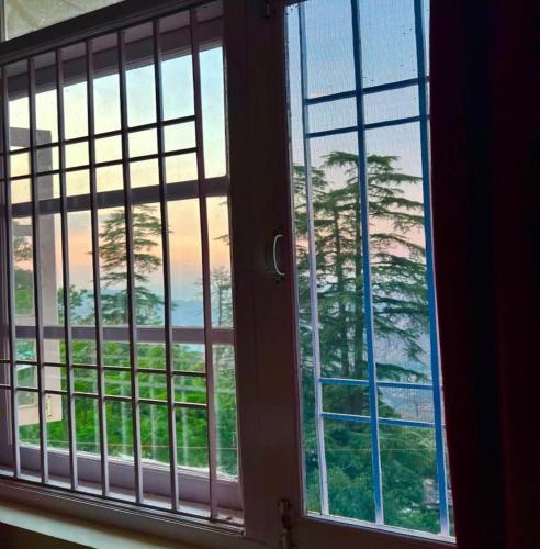 a window with a view of a palm tree at The Boho BnB Near Mall in Shimla