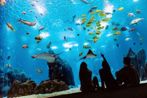 Comfort Relax & Explore Vasco da Gama, Expo Lisbon