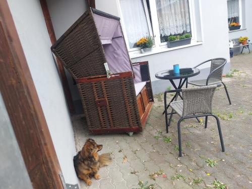 Foto dalla galleria di Zentrale Ferienwohnung in Bergen auf Rügen a Bergen auf Rügen