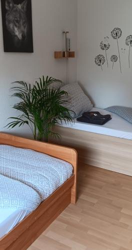 a bedroom with two beds and a potted plant at Fewo am grossen Bruch 2 in Oschersleben