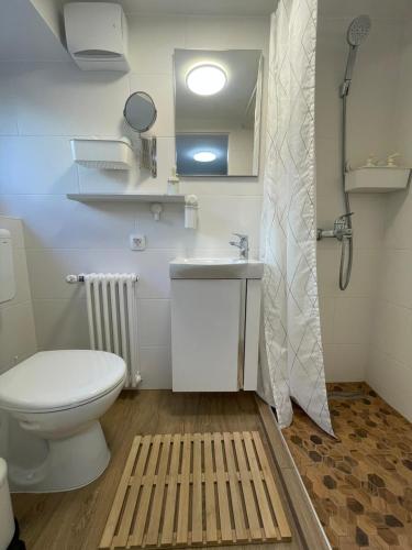 a bathroom with a toilet and a sink and a shower at At the Burkulis' in Ljubljana
