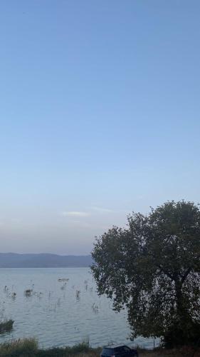 a large body of water with a tree in the foreground at Apartmani Teodora in Nov Dojran