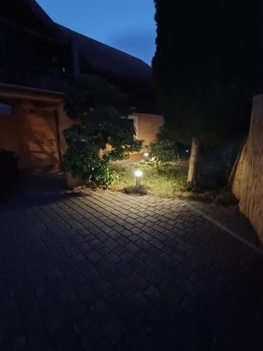 a light in the yard of a house at night at Agroturystyka Rudy Kocur Różana 24 Jaroszowice in Jaroszowice