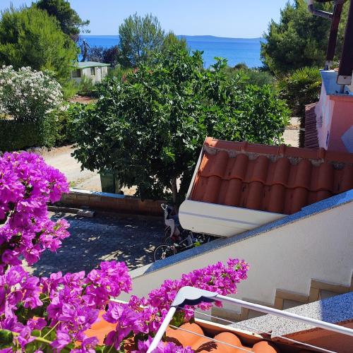 Apartments Vir Delfin