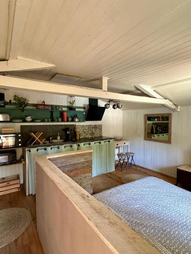 - une cuisine avec un comptoir et une cuisinière dans l'établissement Joli studio en pleine nature, à Six-Fours-les-Plages