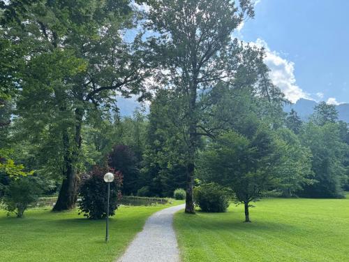 a dirt road in the middle of a field with trees at "Drei Buben" - Moderne Ferienwohnung in St Martin bei Lofer, NEU ab Sommer 2025 in Sankt Martin bei Lofer