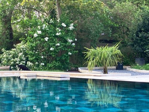 a black cat sitting next to a swimming pool at Les Ecuries de Rigny, Suite haut de gamme avec jardin, jacuzzi et piscine in Nancy