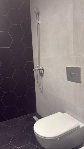 a bathroom with a toilet and a shower at Seaside Escape - 50 m to shore 2 in Golem