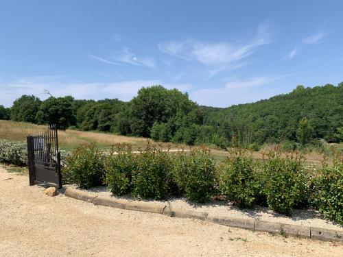 un jardin avec une bande de plantes dans un champ dans l'établissement Le 007 Refuge -Rurale gîte élégant piscine privée, à Queyssac