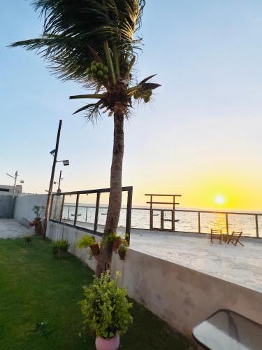 a palm tree on the beach with the sunset at Casa de Praia Tutóia in Tutóia