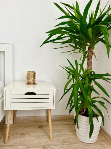 a plant next to a white table with a plant at Garden House in Kranj