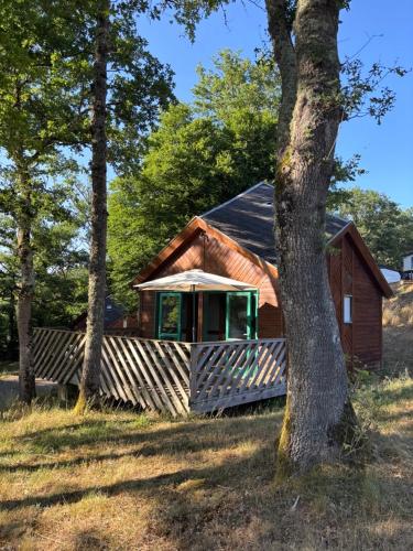 a cabin in the woods with a tree at Camp Les Deux in Jouillat