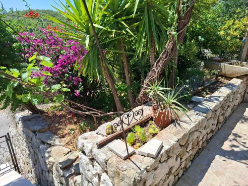a garden with a stone wall with plants and flowers at Holiday house Bore in Babino Polje