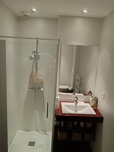 a bathroom with a shower and a sink at Agréable logement à Loches in Loches