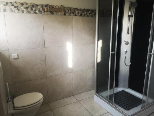 a bathroom with a toilet and a glass shower at KUNTERBUNT am Wallersee in Seekirchen am Wallersee