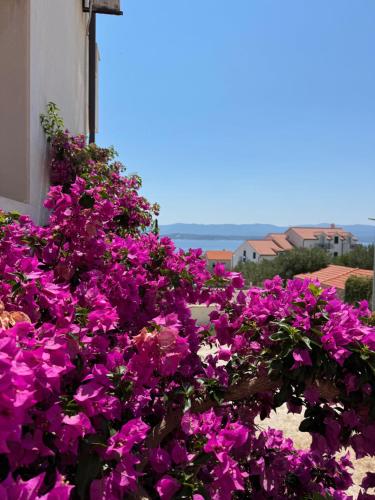 Gallery image of Vespera Apartments in Bol