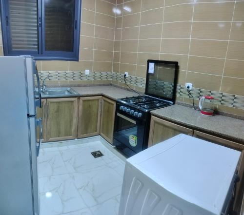 Kuchyň nebo kuchyňský kout v ubytování Ayla Furnished Apartments