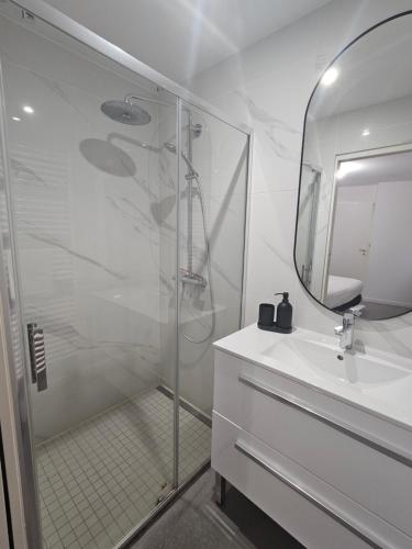 une salle de bain avec une douche, un lavabo et un miroir dans l'établissement Charme & Clim Place Chateauneuf - Coeur de Tours, à Tours