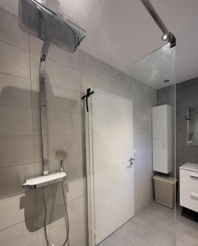a bathroom with a shower and a sink at Appartement cosy au calme in Hasparren