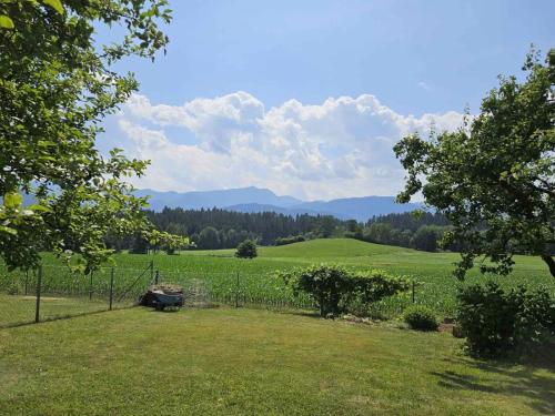 Naturlandschaft in der Nähe der Ferienwohnung