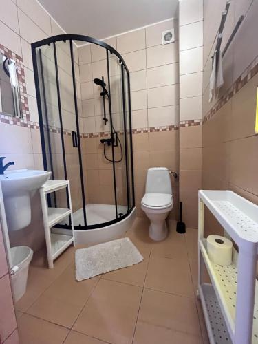 a bathroom with a shower and a toilet and a sink at Dom Wypoczynkowy Sztorm in Ostrowo