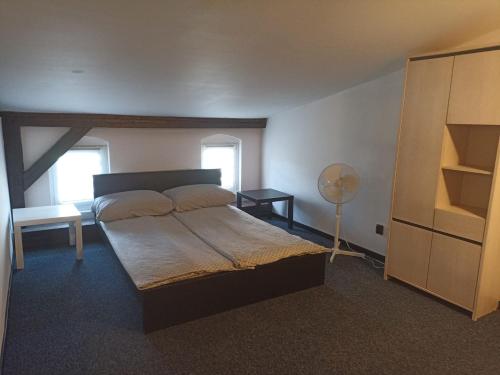グダニスクにあるSeaside Amber Apartmentのベッドルーム(大型ベッド1台、ファン付)