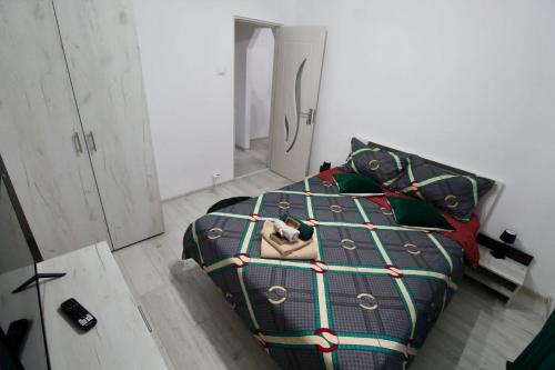 a bedroom with a bed with a cat on it at Apartament HD3 in Hunedoara