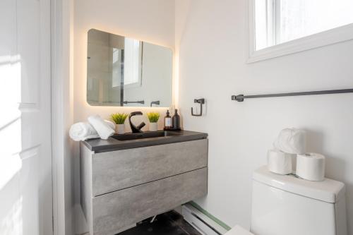 a bathroom with a sink and a mirror at Premium Location Stylish 3BR downtown Montreal in Montréal