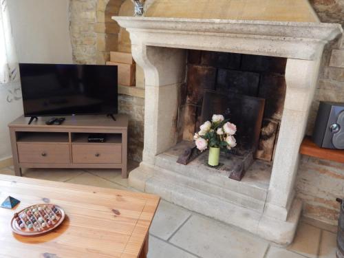 a living room with a fireplace with a tv and flowers at Villa spacieuse à Chamaret avec piscine privée in Chamaret
