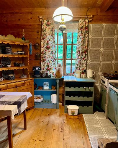 Una cocina o cocineta en House in the forest in Podlasie