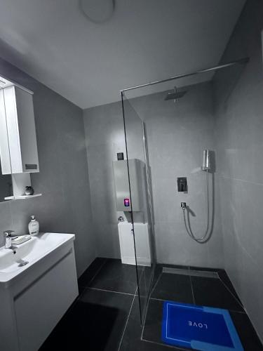 a bathroom with a shower with a sink and a mirror at Primavera apartments Banja Koviljaca in Banja Koviljača