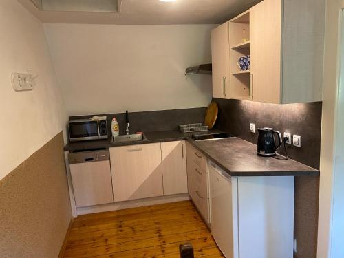 Кухня или мини-кухня в Apartments Benešov Nad Ploučnicí
