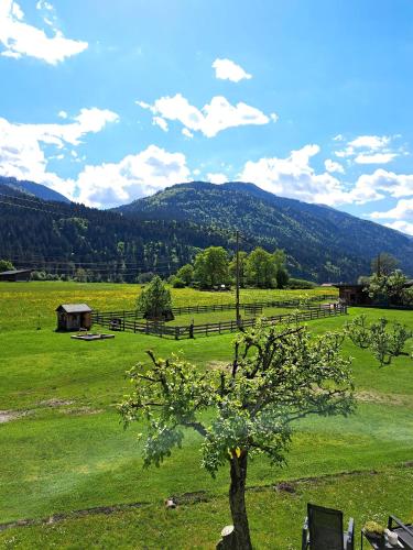 a tree in a field with mountains in the background at atHOME Appartements in Rattendorf