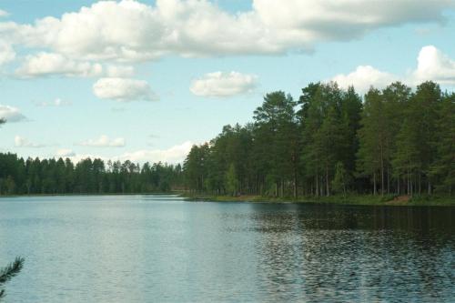 a view of a lake with trees in the background at Hus Siknäs in Mora