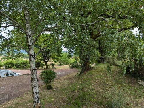a group of trees with a car parked in a field at La Chesnaie in Bonnes