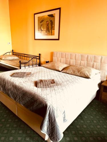 a bedroom with a large bed in a room at ART hotel MAXIM in Frýdek-Místek