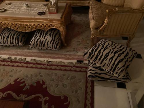 Netflix classy central grown floor flat