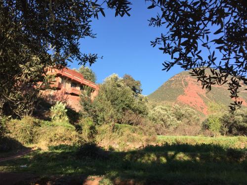 Photo de la galerie de l'établissement Chez Yahia, Au coeur de L'Ourika, à Ourika