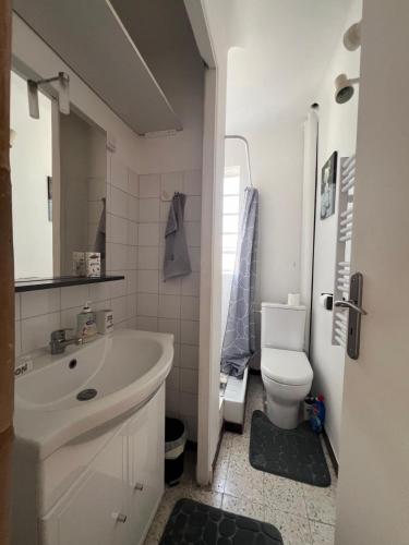 une salle de bain avec un lavabo blanc et des toilettes dans l'établissement Studio avec balcon donnant sur les Arènes d’Arles, à Arles