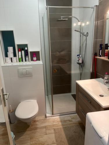 une salle de bain avec une douche, des toilettes et un lavabo dans l'établissement SUPERBE APPARTEMENT FACE AUX ILES SANGUINAIRES, à Ajaccio