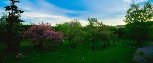 a view of a park with trees and purple flowers at MoonYurt in Gannat