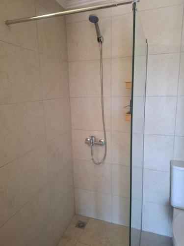 a bathroom with a shower with a glass door at Agnanti Kotsikia in Kotsikiá