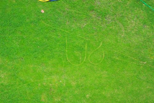 a green field with writing on the grass at Golf View Lodges in Abbottabad