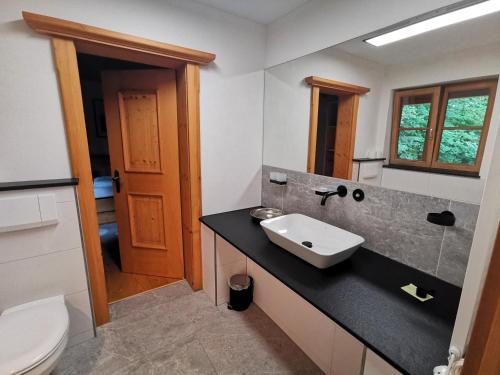 a bathroom with a sink and a toilet at Landhaus Am Arzbach in Bad Tölz