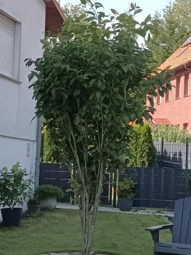 Zahrada ubytování 104 qm Apartment im Weserbergland Hunde willkommen