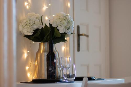 Budapest Riverfront Apartment