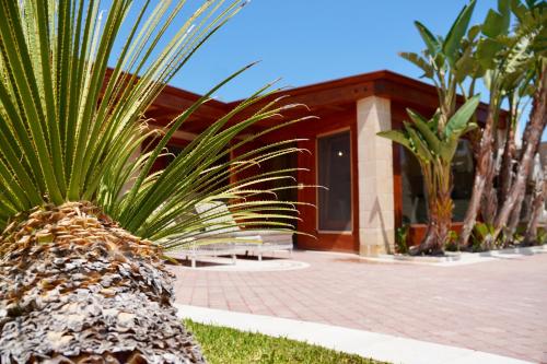 a palm tree in front of a house at Suite & Sea - Apulian Stay Group in Rome